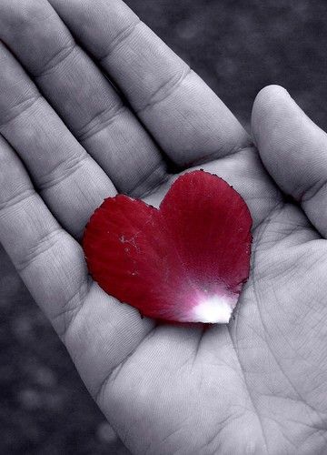 heart
